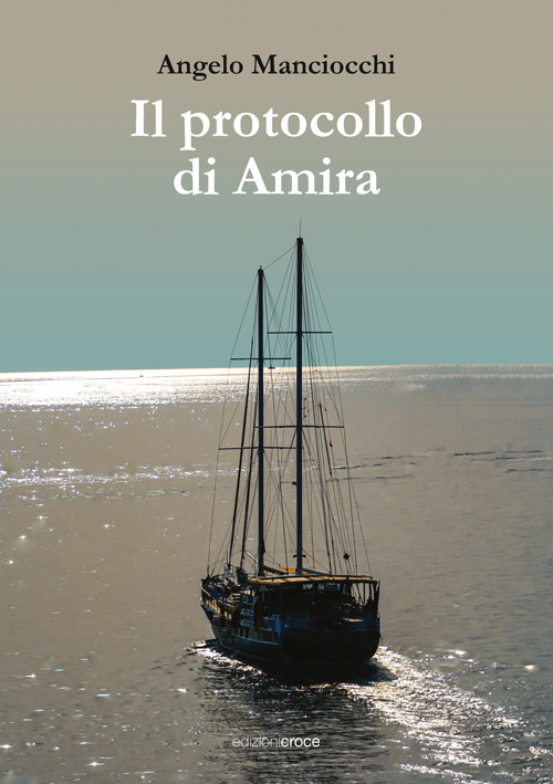 IL PROTOCOLLO DI AMIRA